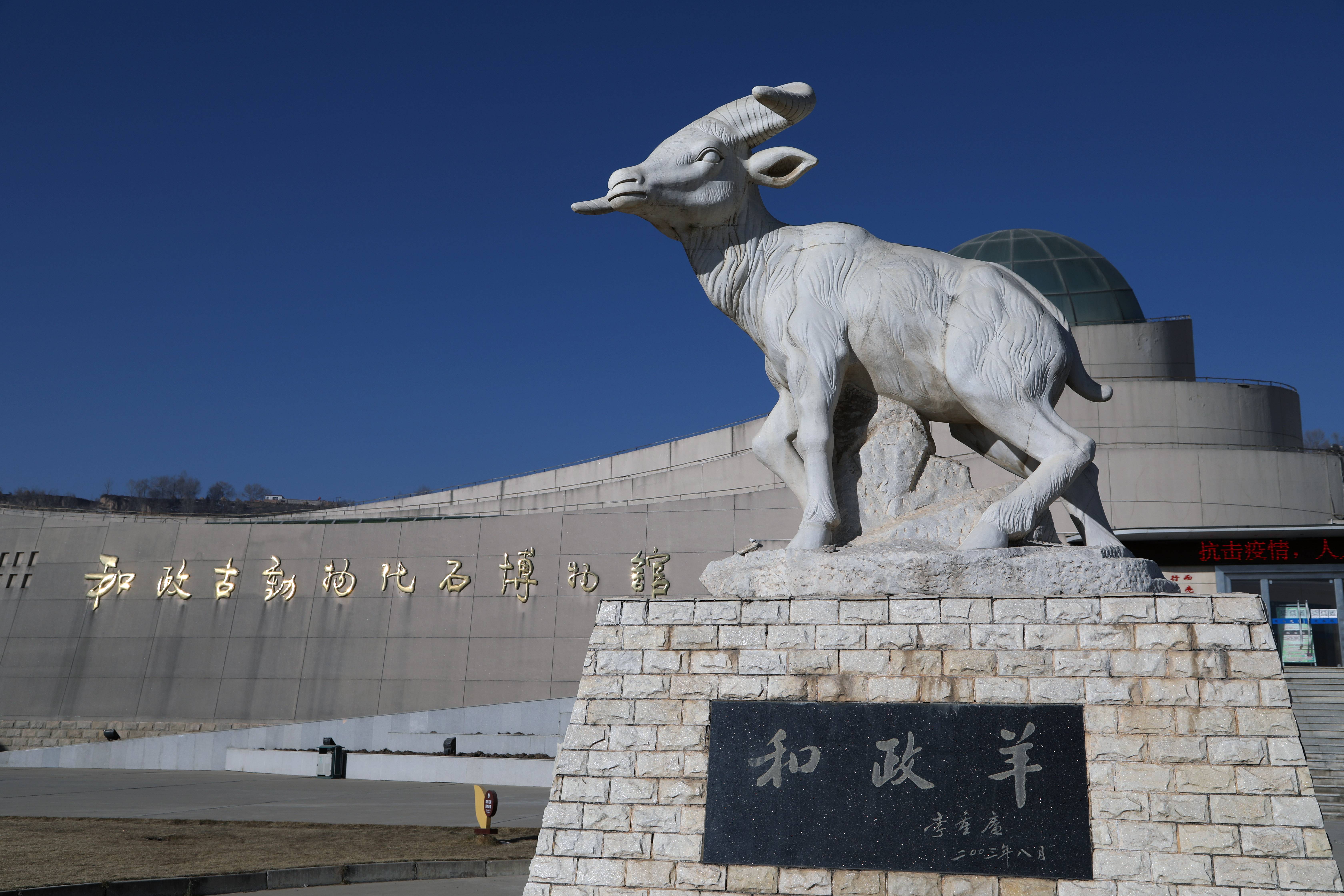 和政化石博物馆免费吗_化石博物馆门票_化石馆博物免费和政府的区别