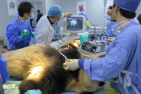 诛仙手游攻略天音