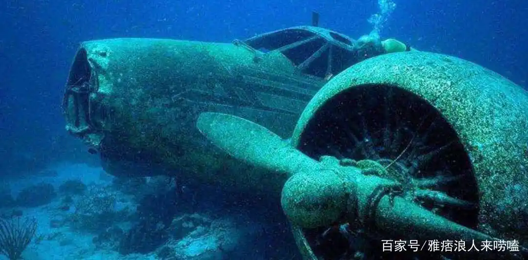 魔鬼三角洲在哪里_魔鬼三角洲在哪儿_魔鬼三角洲长什么样