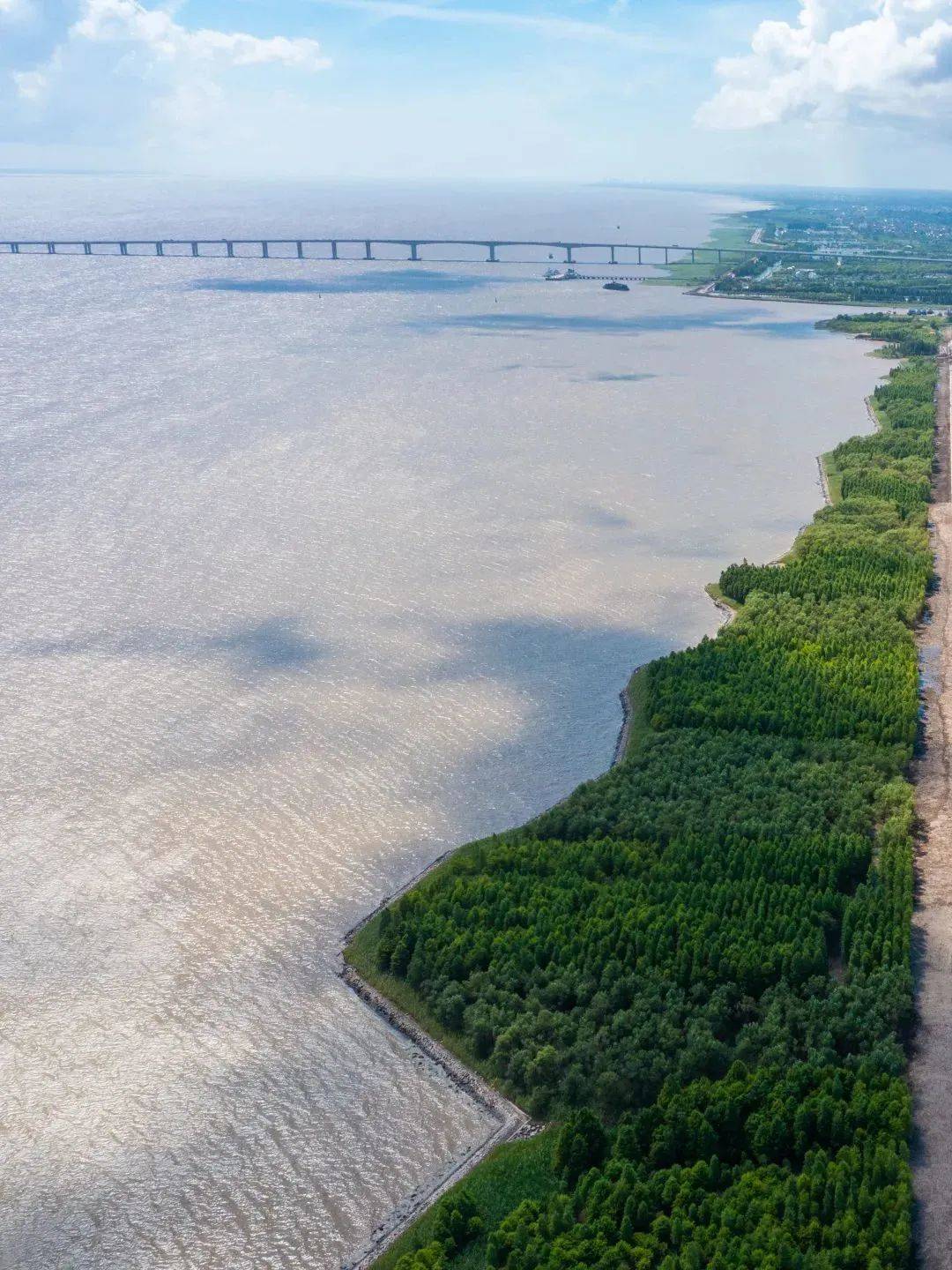 辫状河三角洲前缘_辫状河三角洲沉积相_辫状河三角洲