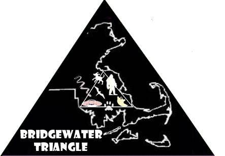 神秘的魔鬼三角区百慕大_魔鬼三角洲百慕大之谜_魔鬼三角洲百慕大