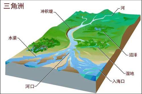 河口三角洲冲积扇河漫滩_河口三角洲和冲积扇_河口三角洲冲积扇