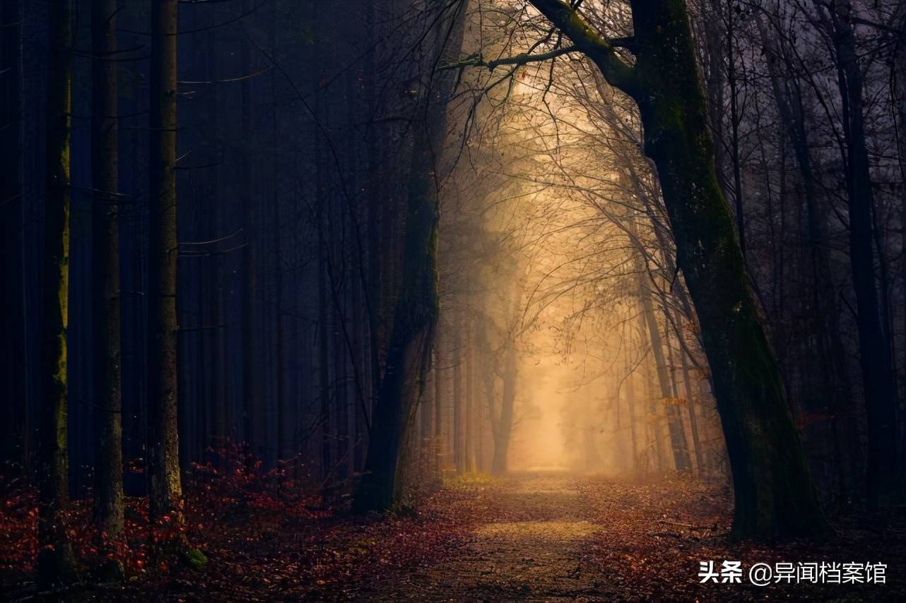 神秘三角洲长什么样_神秘三角洲的图片_神秘三角洲百慕大图片