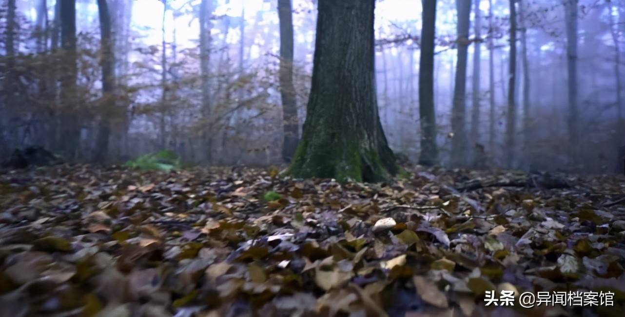 神秘三角洲的图片_神秘三角洲长什么样_神秘三角洲百慕大图片