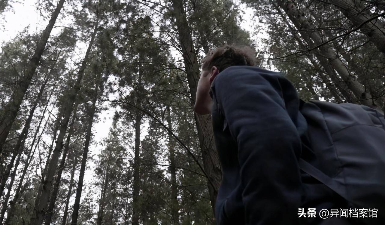 神秘三角洲的图片_神秘三角洲长什么样_神秘三角洲百慕大图片