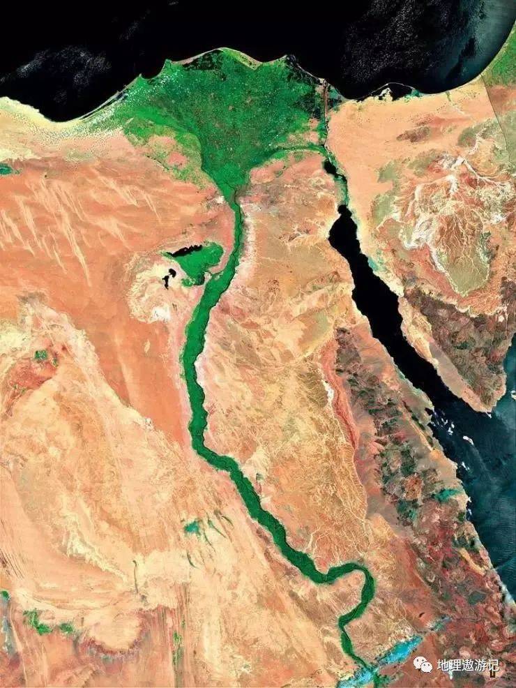 三角洲行动_三角洲_三角洲黑鹰坠落