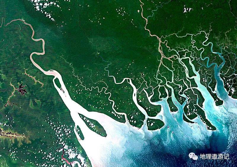 三角洲行动_三角洲_三角洲黑鹰坠落