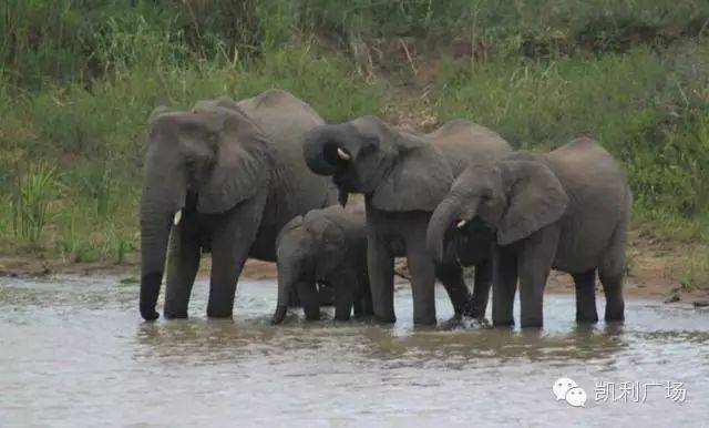 三角洲特种部队6命令_三角洲特种部队3操作_三角洲特种部队人员编制
