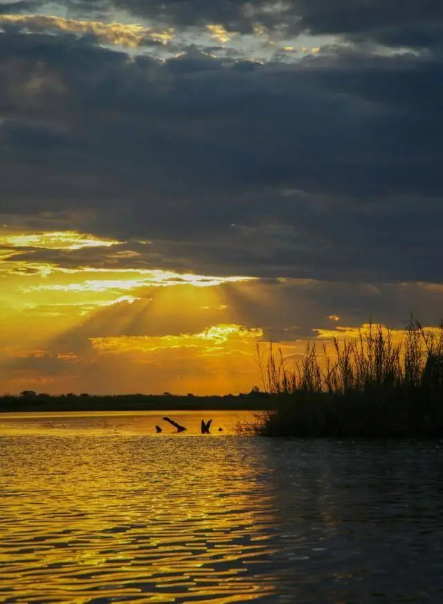 奥卡万戈三角洲面积变化特点_博茨瓦纳奥卡万戈三角洲_博茨瓦纳三角洲营地