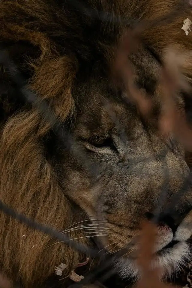 奥卡万戈三角洲面积变化特点_博茨瓦纳三角洲营地_博茨瓦纳奥卡万戈三角洲