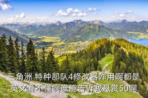 三角洲 特种部队4修改器咋用啊都是英文看不懂啊谁能告诉我悬赏50啊