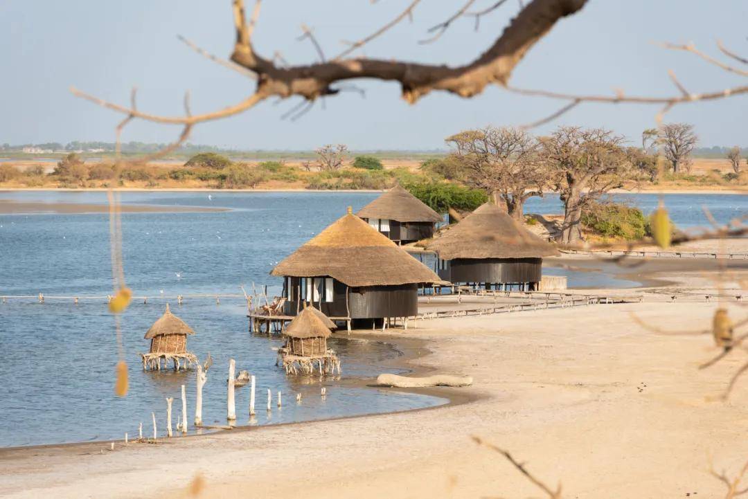 三角洲irene_三角洲河流分叉的原因_塞内加尔河三角洲图