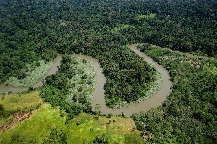 湄公河三角洲_湄公河三角洲危险吗_湄公河三角洲地理特征