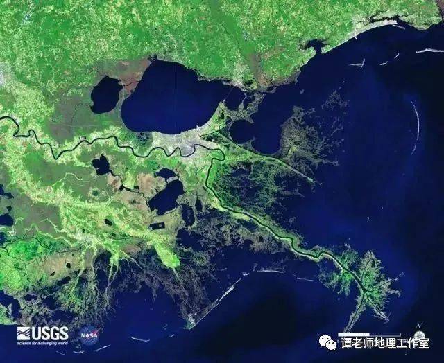 密西西比河三角洲_密西西比河三角洲是什么类型_密西西比河三角洲的形状