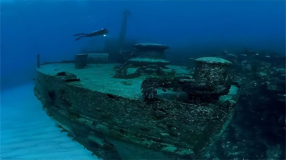 百慕大三角洲海底有什么动物_三角洲百慕大之谜_百慕大三角洲海底