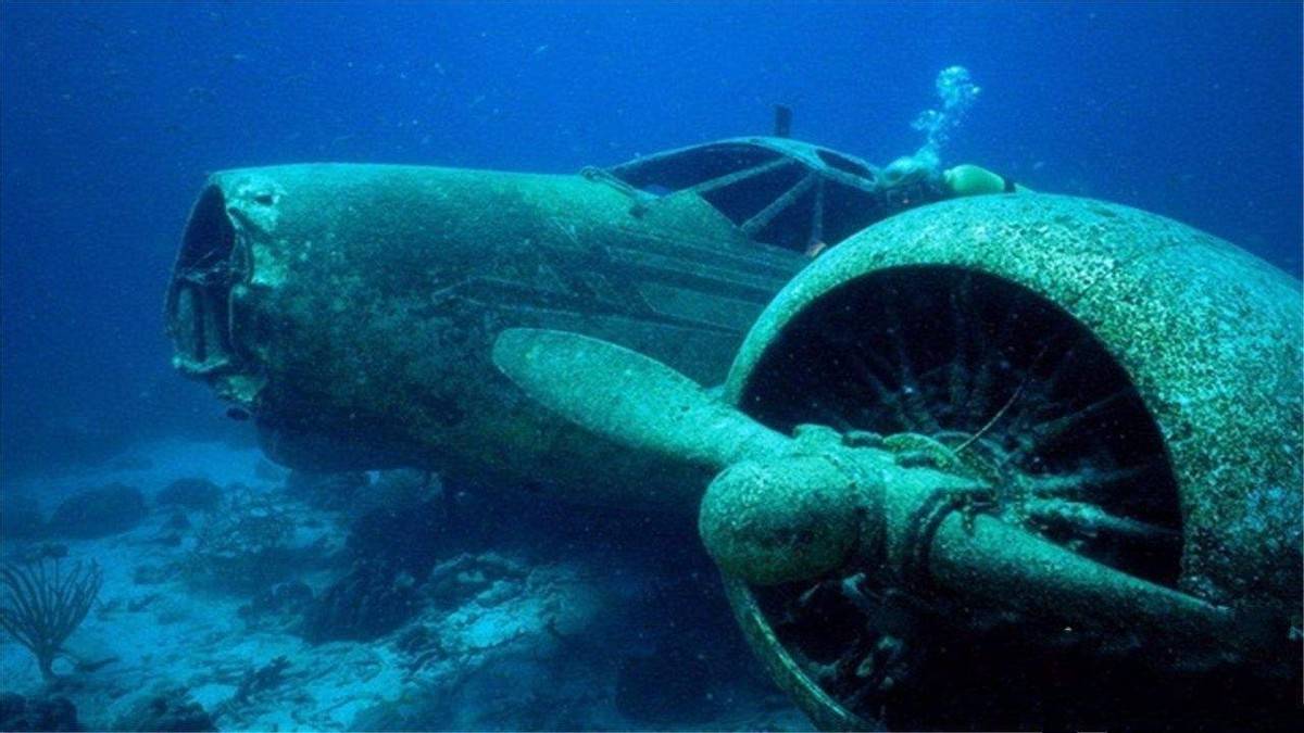 百慕大三角洲海底有什么动物_百慕大三角洲海底_三角洲百慕大之谜