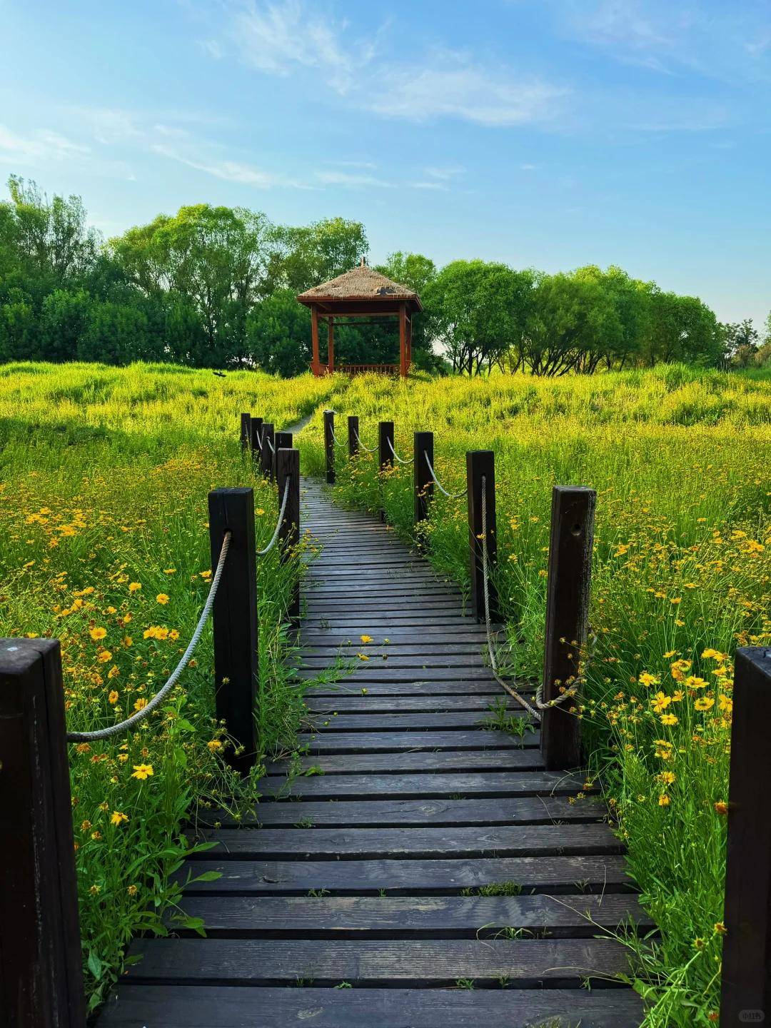 三角洲风景区_三角洲门票多少钱_三角洲多少门票
