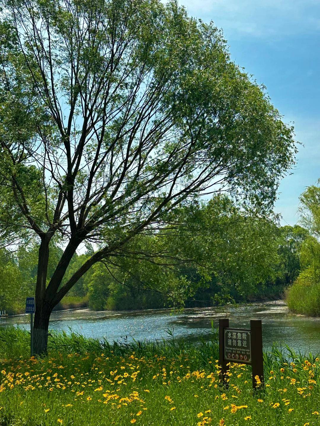 三角洲门票多少钱_三角洲多少门票_三角洲风景区