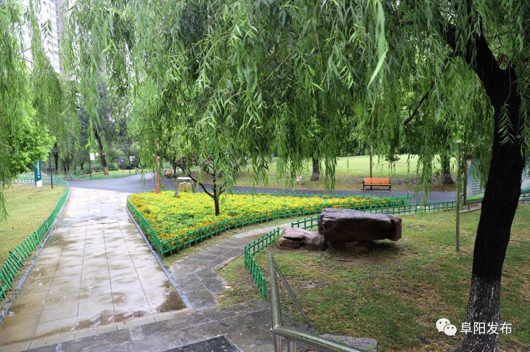 三角洲多少门票_三角洲旅游景点_三角洲旅游攻略