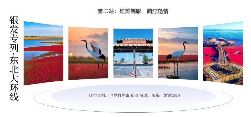 三角洲岛门票团购_三角洲多少门票_三角洲风景区