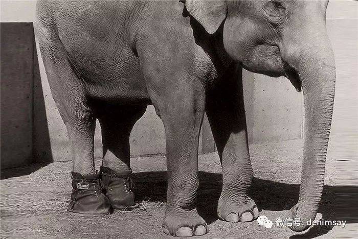 三角洲特种部队穿的鞋子_三角洲特种部队衣服_三角洲特种部队穿什么军靴