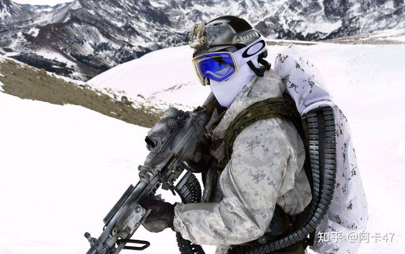 三角洲海豹突击队_特种部队 海豹突击队 三角洲_海豹突击队三角洲特种部队