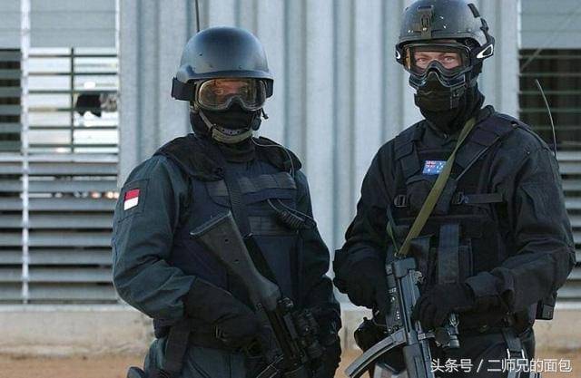 三角洲海豹六队_三角洲和海豹六队_海豹六队和三角洲部队哪个厉害