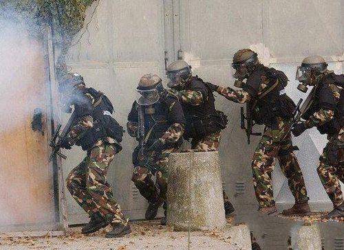 三角洲和海豹六队_海豹六队和三角洲部队哪个厉害_三角洲海豹六队