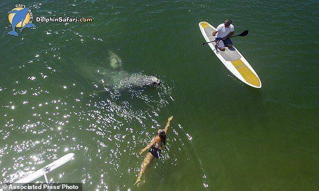 大亨攻略赚钱动物园下载_大亨攻略赚钱动物园怎么玩_动物园大亨2赚钱攻略