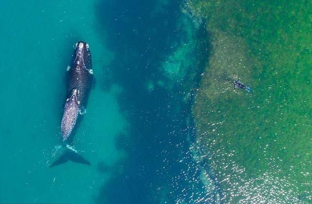 湄公河三角洲_湄公河三角洲地理特征_湄公河三角洲是什么
