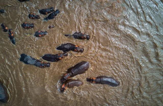 湄公河三角洲是什么_湄公河三角洲_湄公河三角洲地理特征