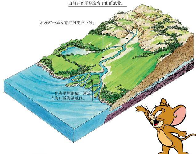 河口三角洲是什么作用_河口三角洲景观特点_河口三角洲在哪
