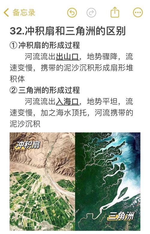 河口三角洲在哪_河口三角洲是什么作用_河口三角洲长啥样