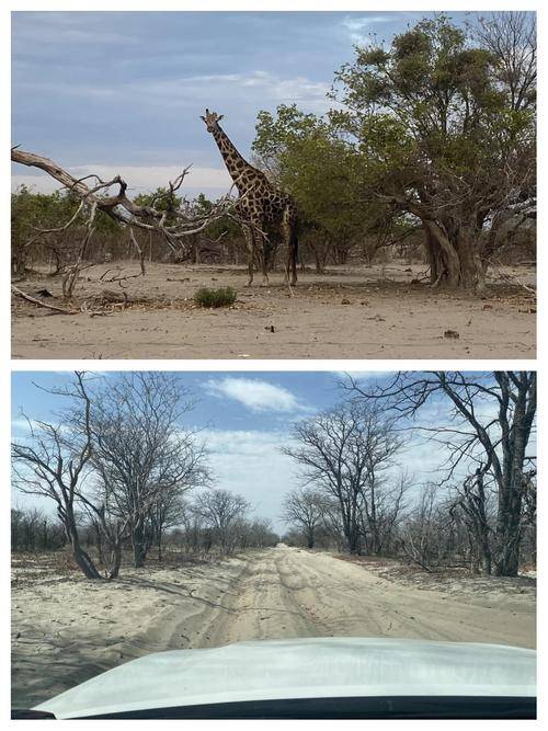 奥卡万戈三角洲_奥卡万哥三角洲_奥卡万戈三角洲面积变化特点
