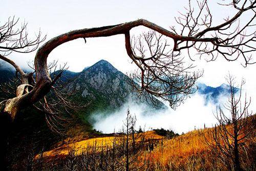 魔鬼三角洲地带的宝藏_魔鬼三角洲下面是什么_魔鬼三角洲地理位置