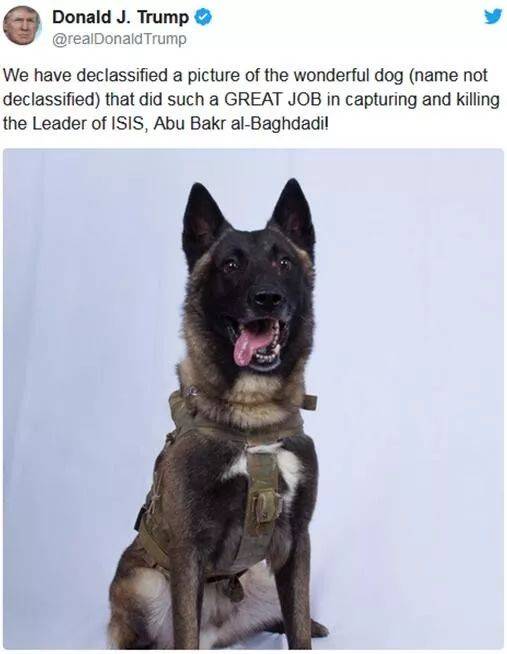 三角洲特种部队游戏下载_三角洲特种部队1手机版_三角洲特种部队3下载