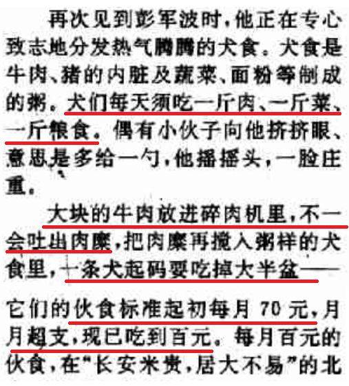 三角洲特种部队游戏下载_三角洲特种部队1手机版_三角洲特种部队3下载