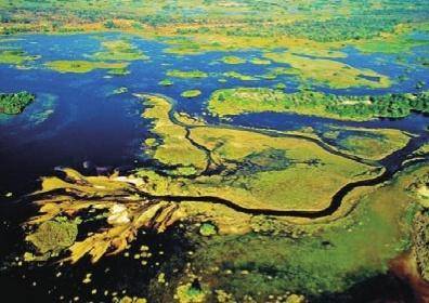 三角形辫子_三角辫子发型扎法_辫状三角洲