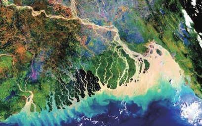 辫状三角洲_三角辫子发型扎法_三角形辫子