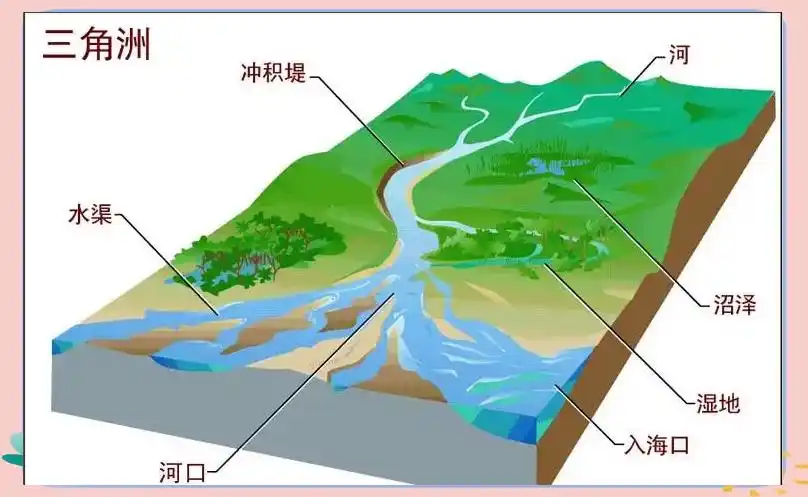 辫状河三角洲_三角辫子发型扎法_辫状三角洲