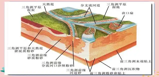 辫状三角洲_三角辫子发型扎法_辫状河三角洲