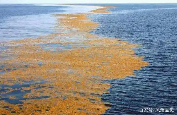 魔鬼三角洲谜团解开_世界未解之谜魔鬼三角洲_三角谜题怎么解