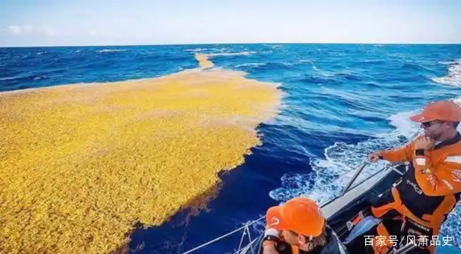 三角谜题怎么解_魔鬼三角洲谜团解开_世界未解之谜魔鬼三角洲