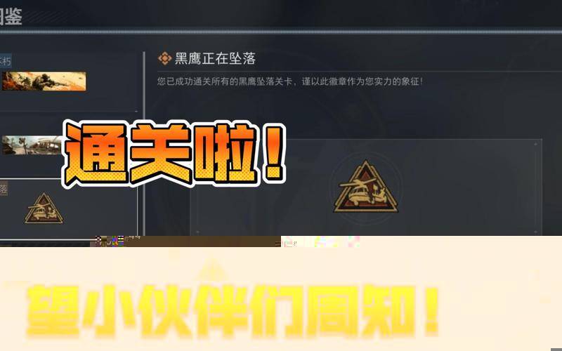 Delta Force Black Hawk Down 密码攻略_三角洲特种部队之黑鹰坠落秘籍_三角洲部队黑鹰坠落秘籍大全