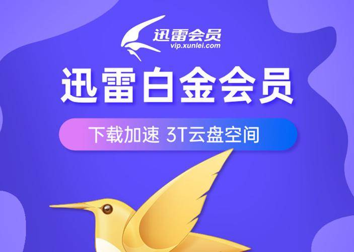 迅雷会员激活码使用步骤_迅雷超级会员激活码_迅雷体验会员激活码获取方式