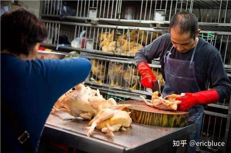 乡镇快递服务站创业_乡镇做什么小买卖赚钱_农村电商直播赚钱
