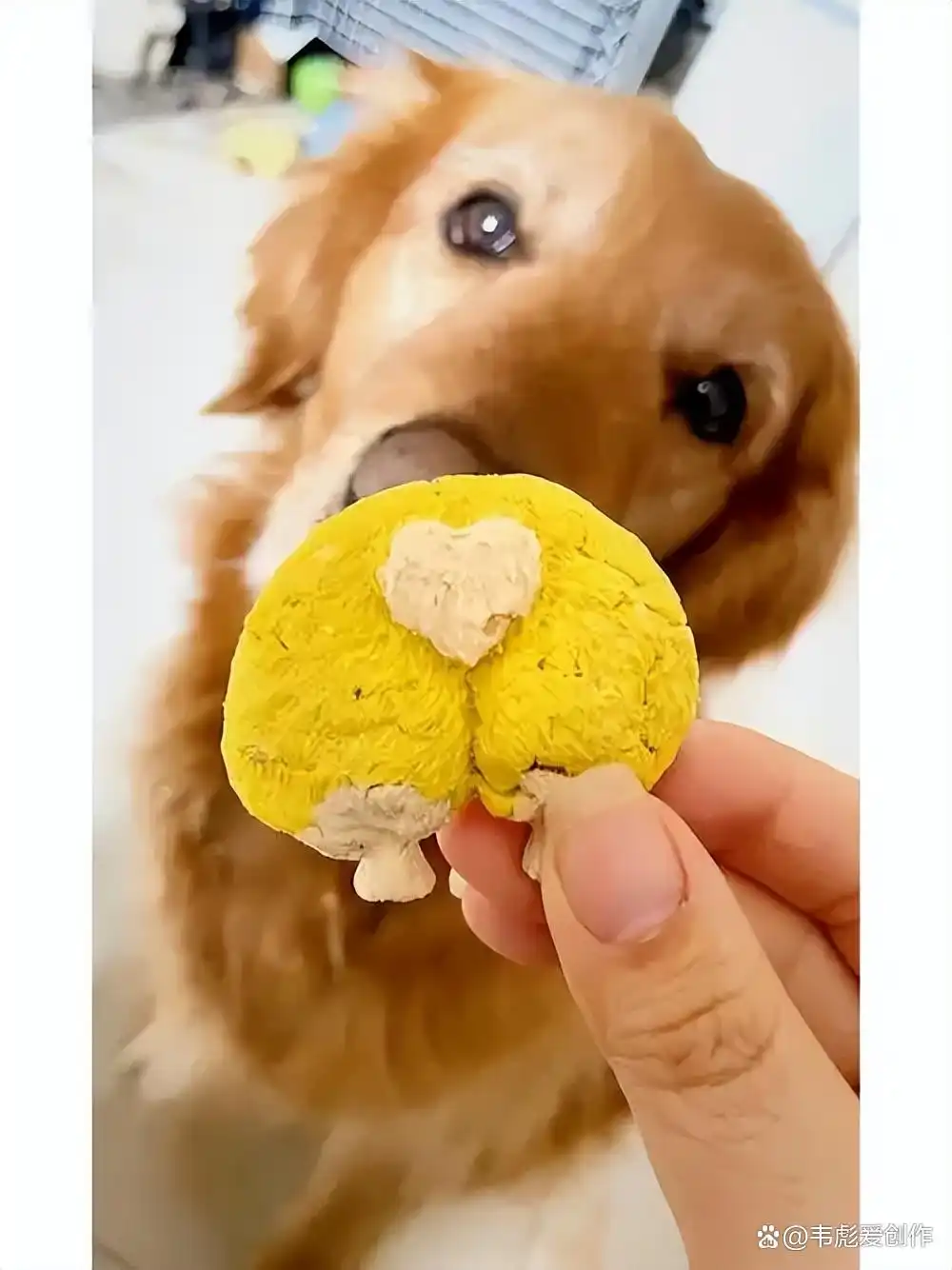 手工创意饰品市场分析_摆摊美甲盈利模式_马年小本赚钱好商机