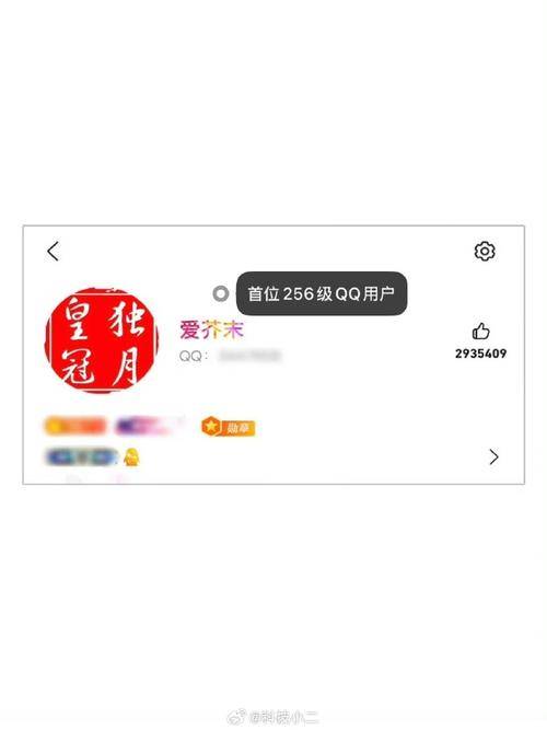 全球首个满级QQ用户_QQ256级用户_qq会员激活码兑换