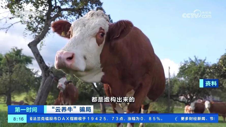 云养经济骗局 _有没有赚钱好项目_ 云养殖非法集资 