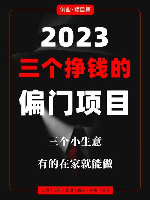 农村偏门生意_家庭太阳能灯安装_农村赚钱机器